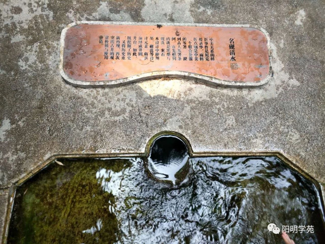 201921d05.png