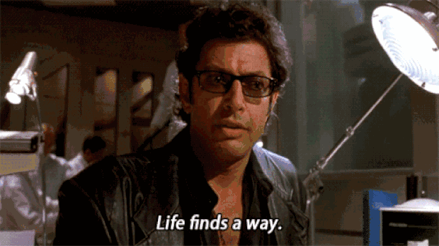 202006b06.gif