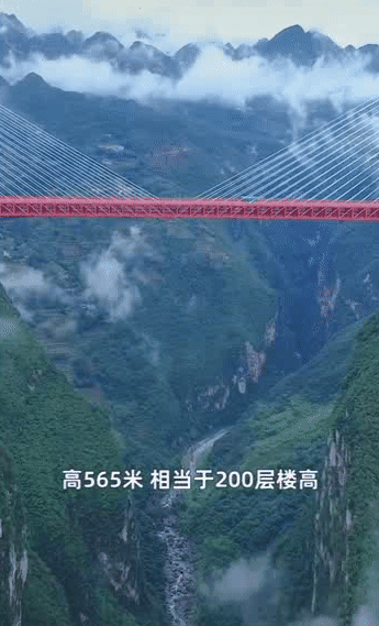 202015d04.gif