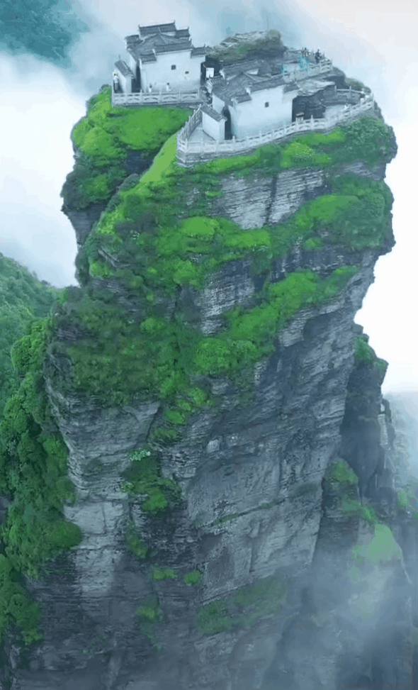 202015d07.gif
