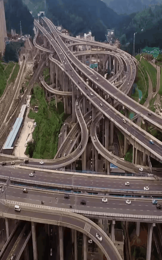 202015d10.gif
