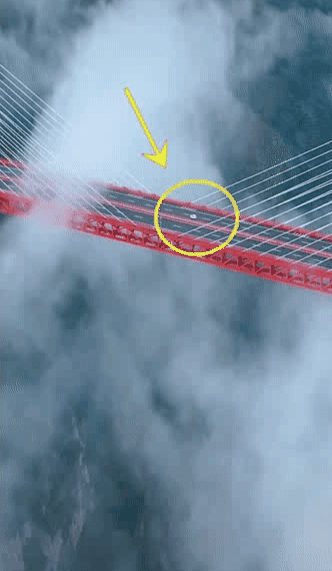 202015d17.gif