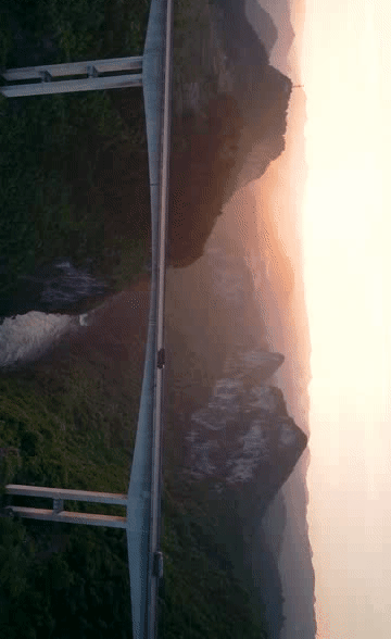 202015d24.gif