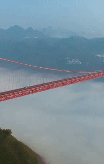 202015d25.gif