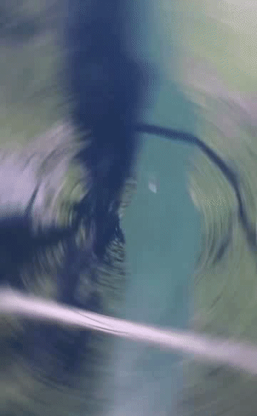 202015d28.gif