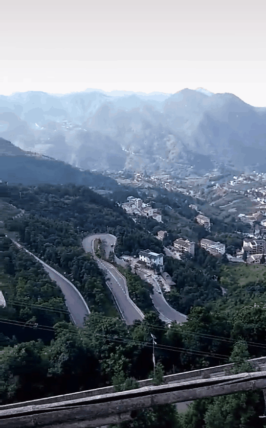202015d31.gif