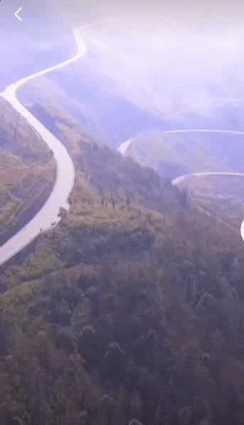 202015d32.gif