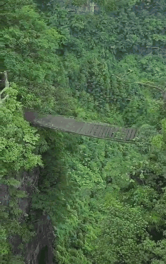 202015d42.gif