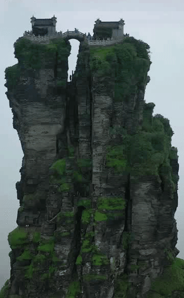 202015d43.gif
