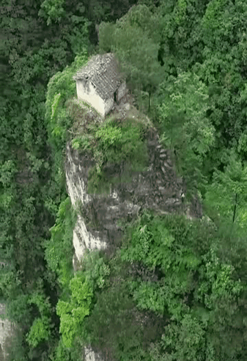 202015d45.gif