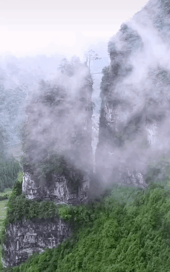 202015d46.gif