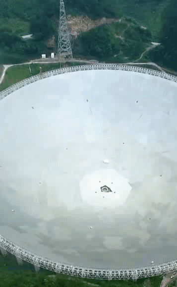 202015d54.gif