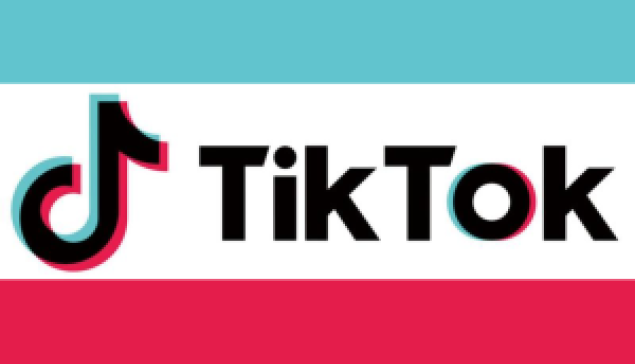 安華面對綠色海嘯 反對黨用TikTok動員 ☆作者：盧德儀