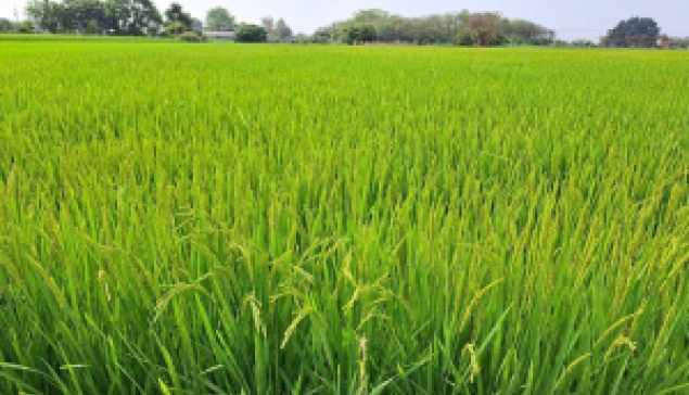 和平協議 兩岸受惠