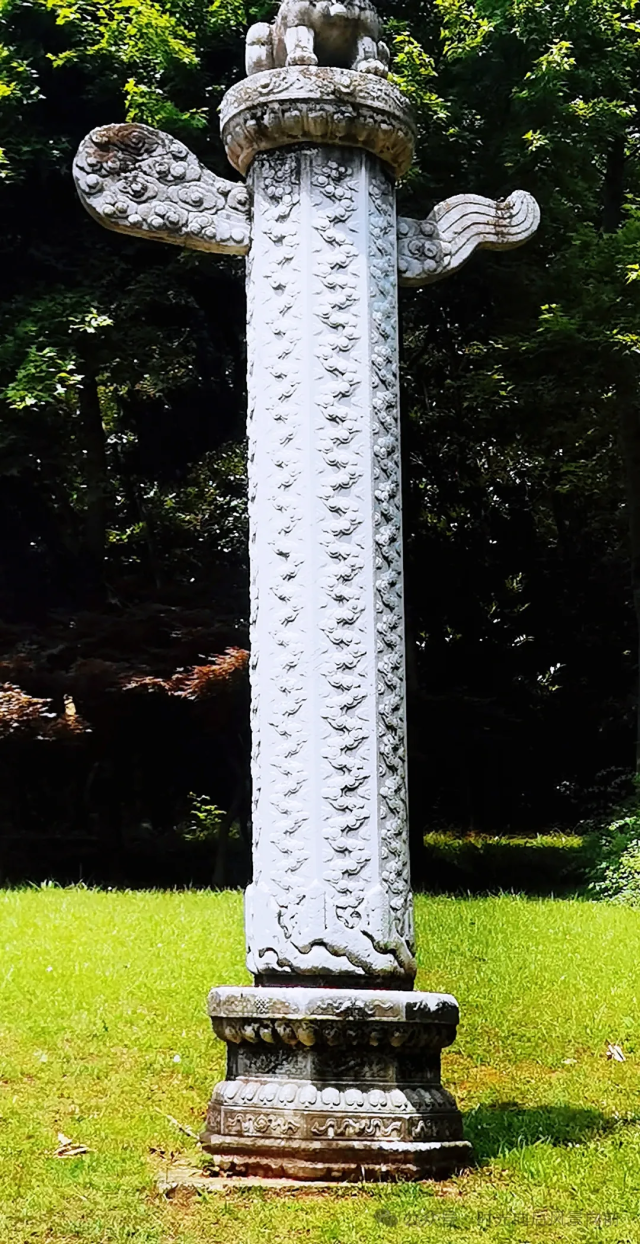 20260717003z7.png